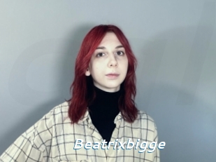 Beatrixbigge