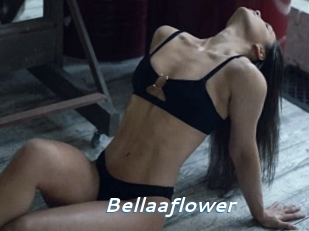 Bellaaflower
