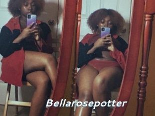 Bellarosepotter