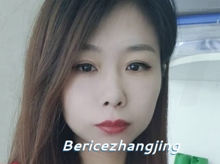 Bericezhangjing