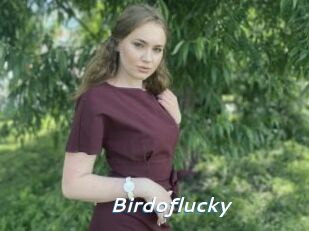 Birdoflucky