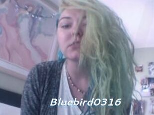 Bluebird0316
