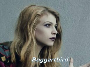 Boggartbird