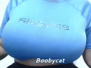 Boobycat