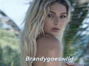 Brandygoeswild