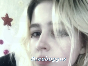 Breeboggus