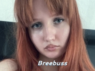 Breebuss