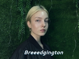 Breeedgington