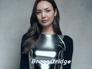 Breeestridge