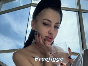 Breefigge