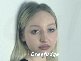 Breefudge