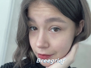 Breegrief