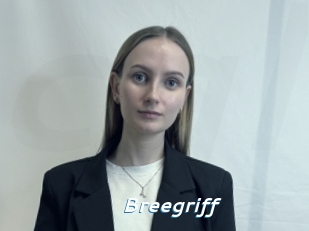 Breegriff