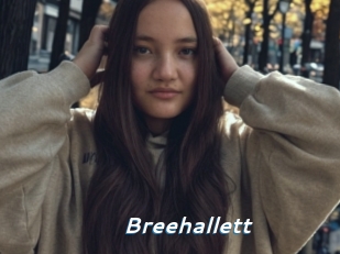 Breehallett