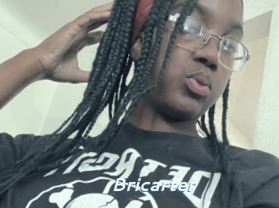 Bricarter
