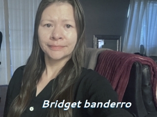 Bridget_banderro