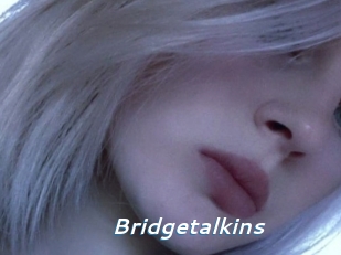 Bridgetalkins