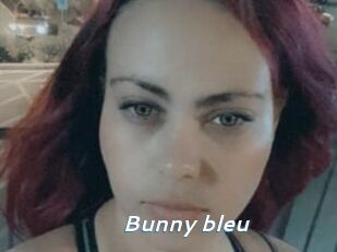 Bunny_bleu