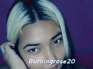 Burningrose20