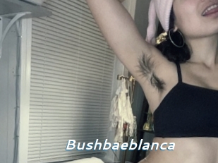 Bushbaeblanca