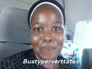 bustyperverttatas Camgirls Live