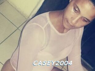 CASEY2004