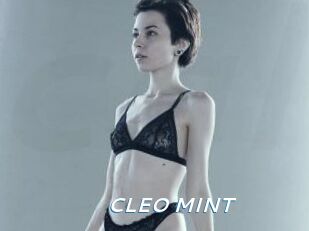 CLEO_MINT