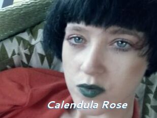 Calendula_Rose