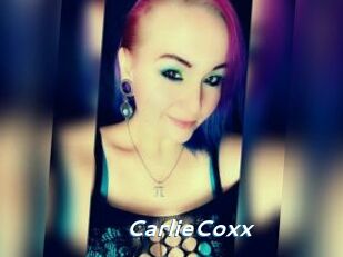 CarlieCoxx