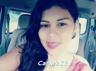 Carlina23