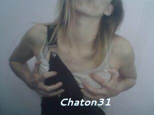 Chaton31