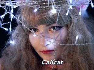 Calicat