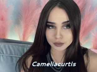 Cameliacurtis