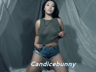 Candicebunny