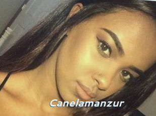 Canelamanzur