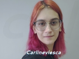 Carlineviesca
