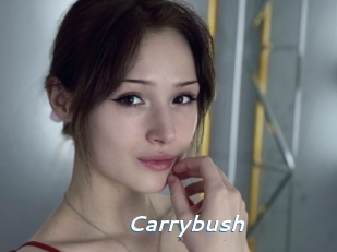 Carrybush