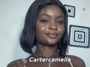 Cartercamelia