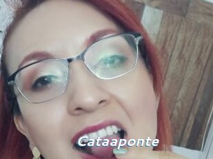 Cataaponte