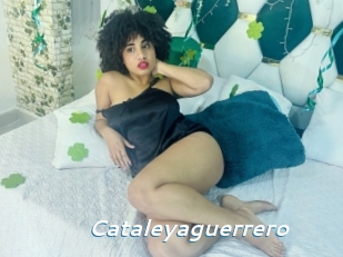 Cataleyaguerrero