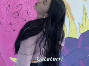 Cataterri