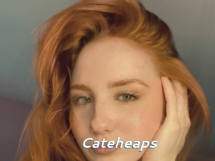 Cateheaps