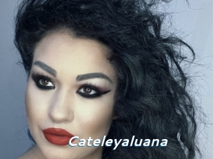 Cateleyaluana