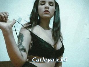 Catleya_x18
