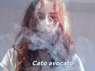 Cato_avocato