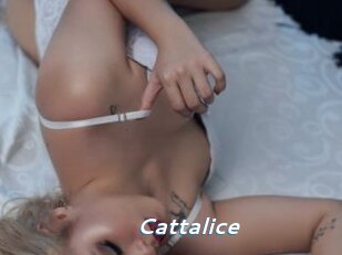 cattalice Camgirls Live