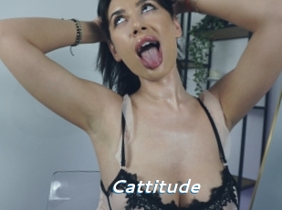 Cattitude