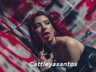 cattleyasantos Camgirls Live