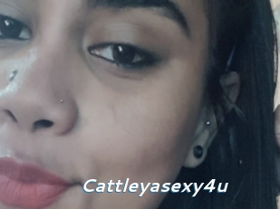 Cattleyasexy4u