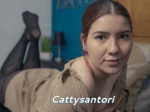 Cattysantori